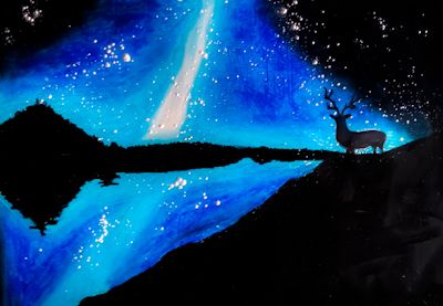 Deer at Night